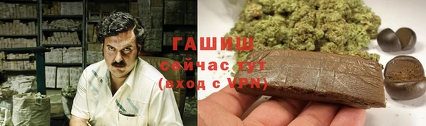 сатива Армянск