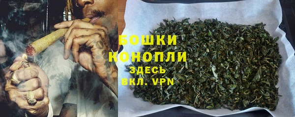сатива Армянск