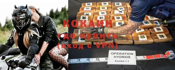гидра Аркадак