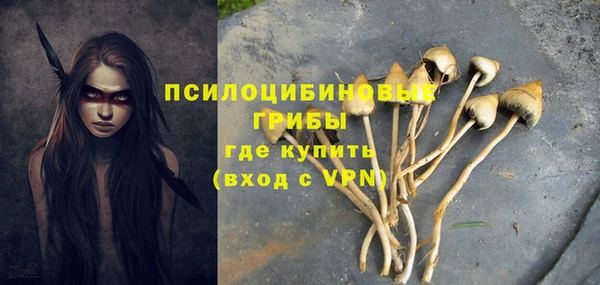 сатива Армянск