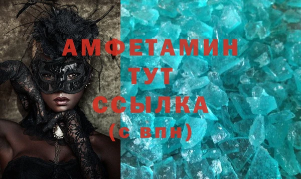 гидра Аркадак